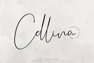 Cellina: A Script Font That Adds Personality to Campaigns